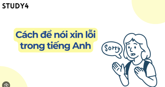 50+ câu xin lỗi tiếng Anh chân thành, tự nhiên và dễ dùng trong giao tiếp